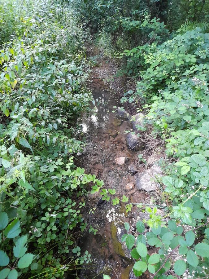 Вілла Peace Creek Слунь Екстер'єр фото