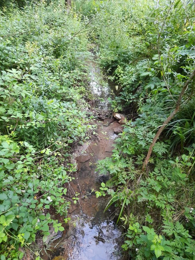 Вілла Peace Creek Слунь Екстер'єр фото