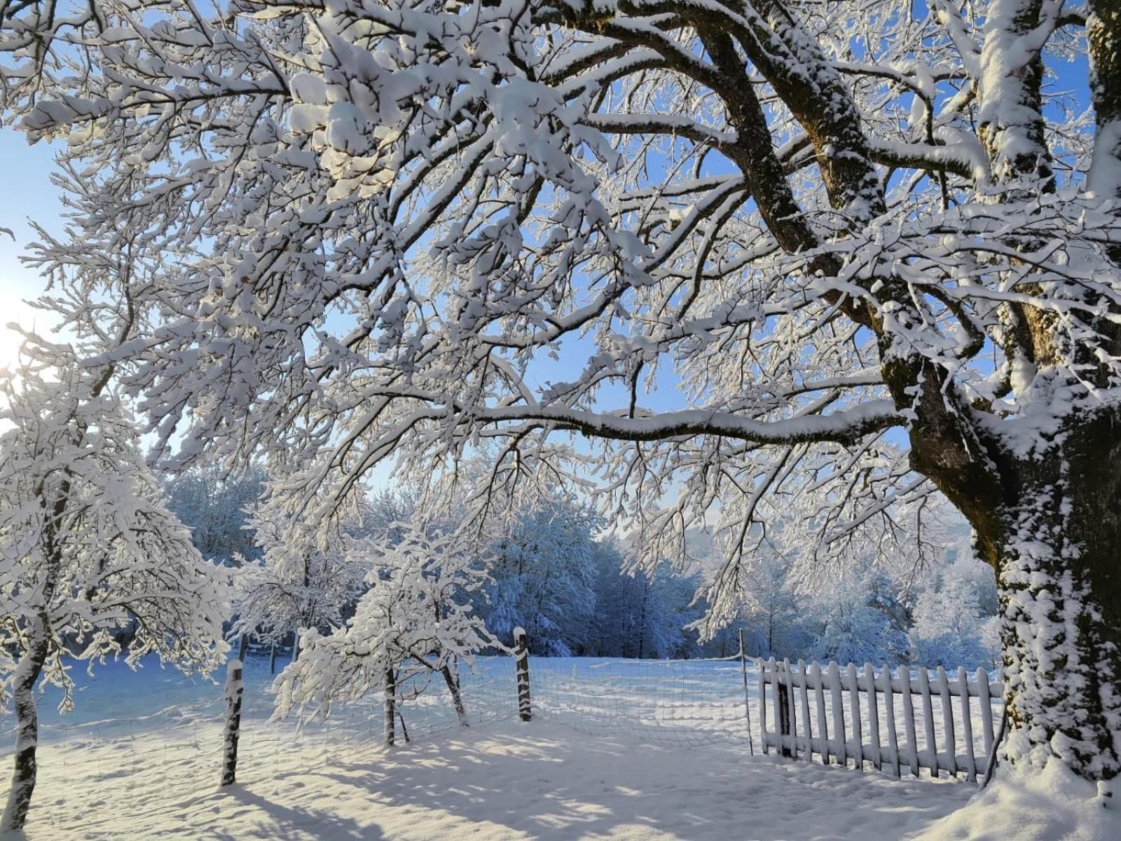 Вілла Peace Creek Слунь Екстер'єр фото